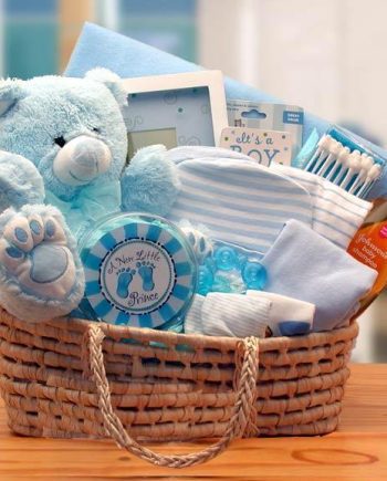 Our Precious Baby Carrier - Blue - baby bath set - baby boy gift basket - new baby gift basket - baby gift baskets - baby shower gifts